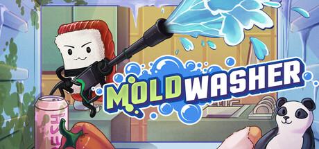 Moldwasher Cover