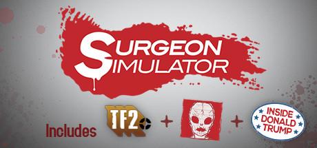 Surgeon Simulator Cover