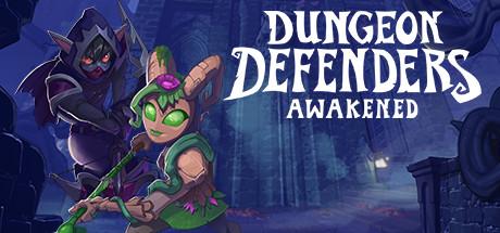 Dungeon Defenders: Awakened Cover
