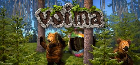 Voima Cover