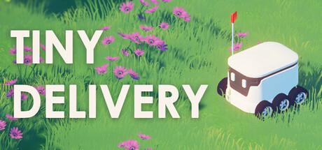 Tiny Delivery Cover