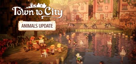 Town to City Cover