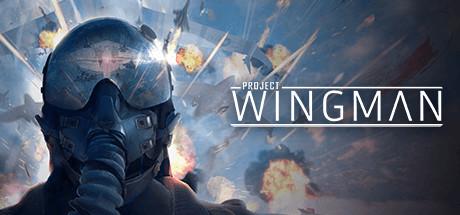 Project Wingman Cover