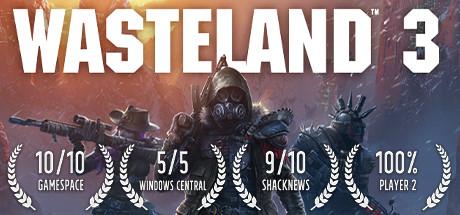 Wasteland 3 Cover
