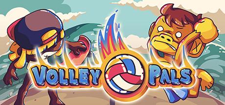 Volley Pals Cover