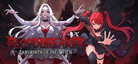 Bloodbreaker: Labyrinth of the Witch Cover