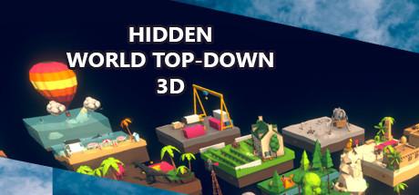 Hidden World Top-Down 3D Cover