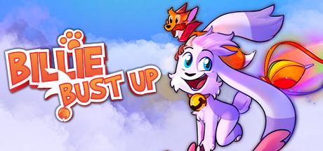 BBU Cover