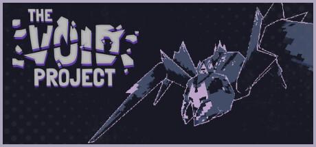 The Void Project Cover