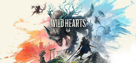 WILD HEARTS Cover