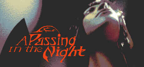 A Passing in the Night Cover