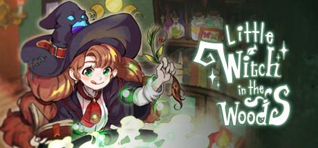 Little Witch in the Woods Cover