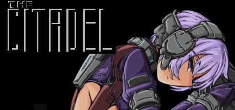 The Citadel Cover