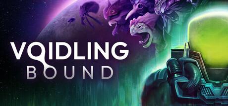 Voidling Bound Cover