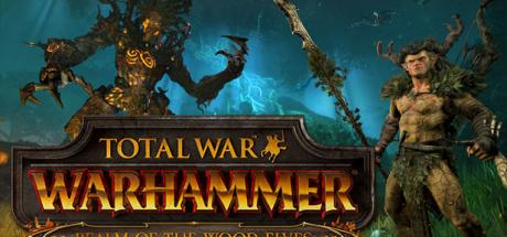 Total War: WARHAMMER - Realm of The Wood Elves Cover