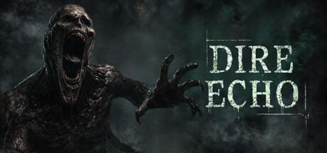 Dire Echo Cover