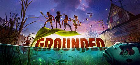 Grounded Cover