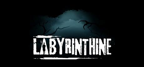 Labyrinthine Cover
