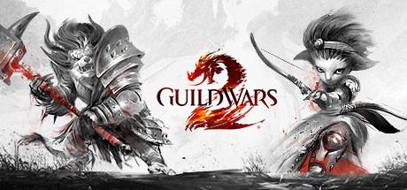 Guild Wars 2 Cover
