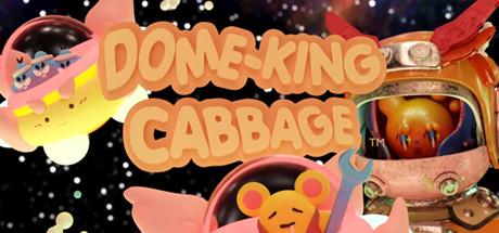 Dome-King Cabbage Cover