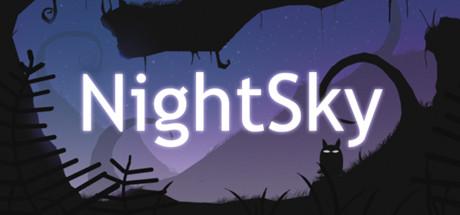 NightSky Cover