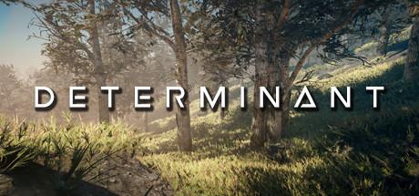 Determinant Cover
