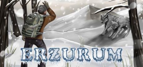 Erzurum Cover