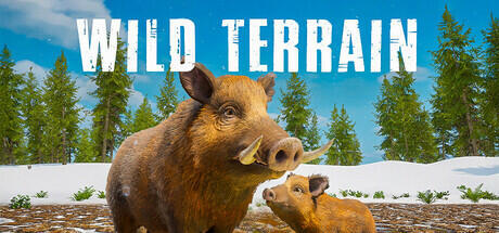 Wild Terrain Cover