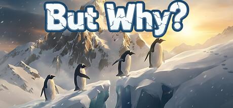But Why? Cover