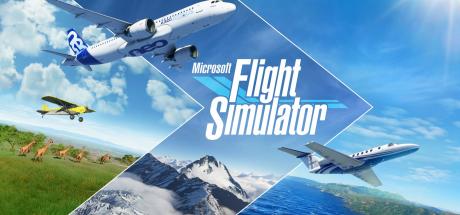 Microsoft Flight Simulator Cover