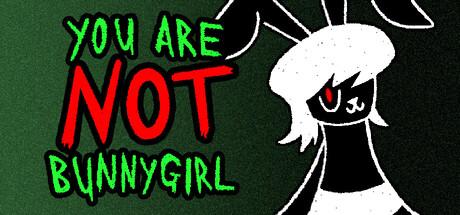 You Are Not Bunnygirl Cover