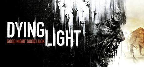 Dying Light Cover