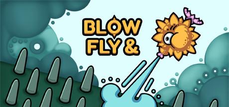 Blow & Fly Cover