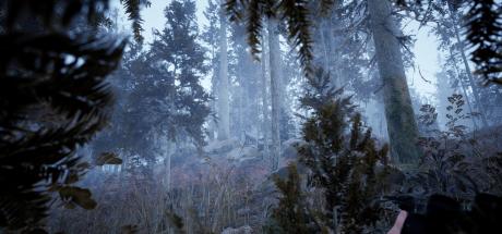 Photography Simulator Cover