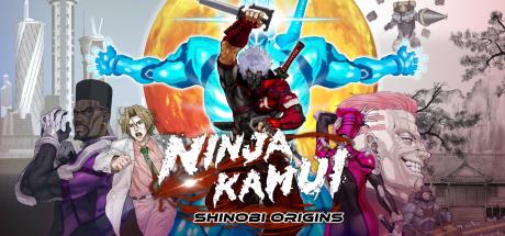 Ninja Kamui: Shinobi Origins Cover