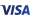 VISA Logo