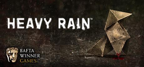 Heavy Rain Cover