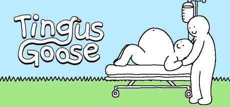 Tingus Goose Cover