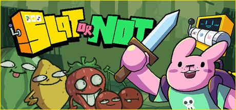 Slot or Not Cover
