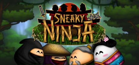 Sneaky Ninja Cover