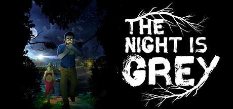 The Night is Grey Cover