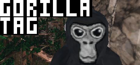 Gorilla Tag Cover