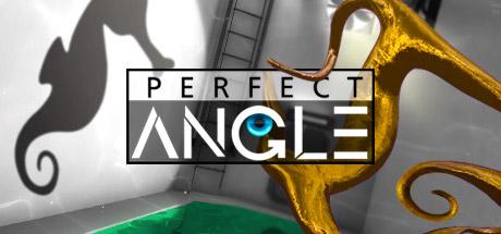 PERFECT ANGLE: The puzzle game based on optical illusions Cover